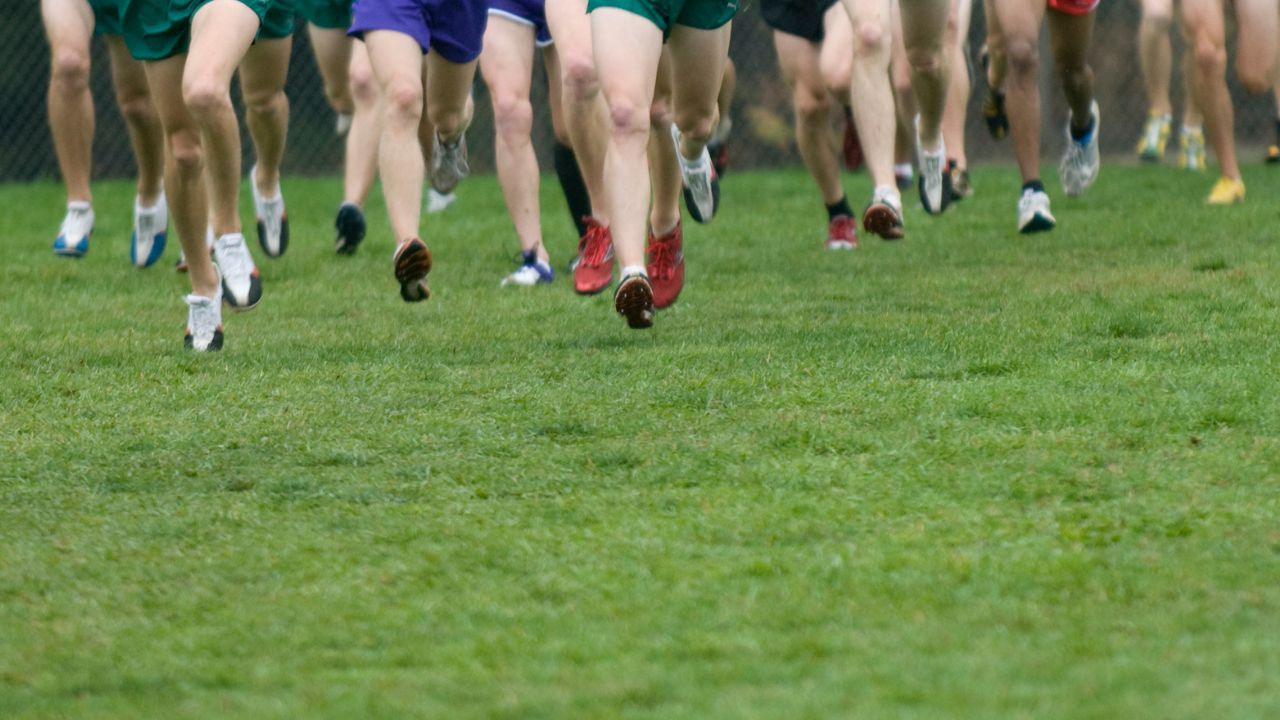 cross country runners with cross country shoes on running a cross a field